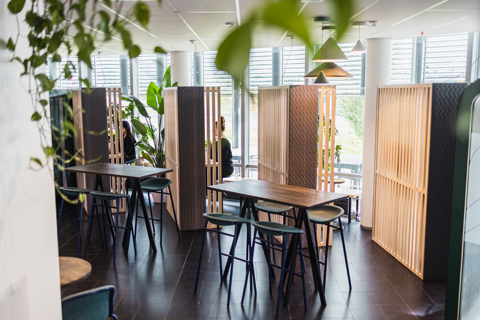 kpy-novapolis-uutiskirje-3