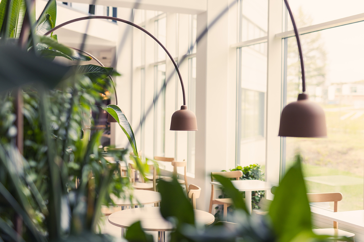 novapolis-valmiit141